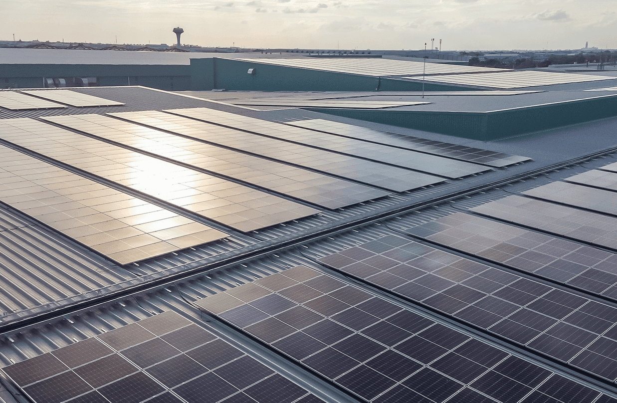 Smart Solar Ecosystem 01